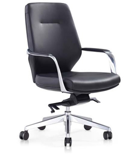 Elegant Medium Back - ZX